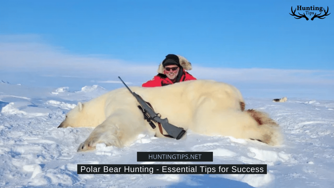 Polar Bear Hunting Essential Tips for Success Polar Bear Hunting Essential Tips for Success