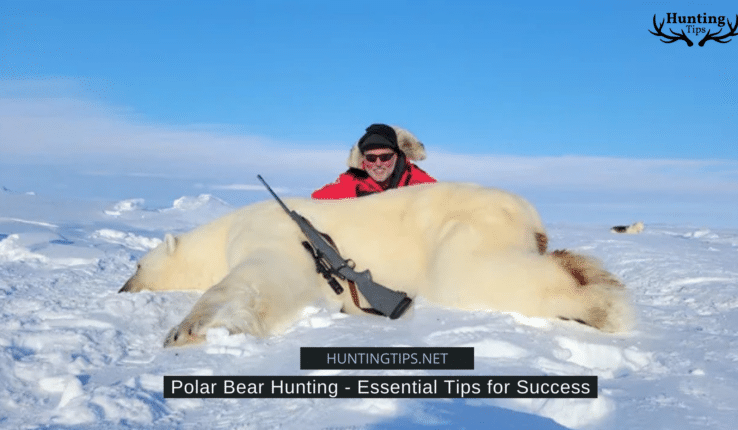 Polar Bear Hunting – Essential Tips for Success