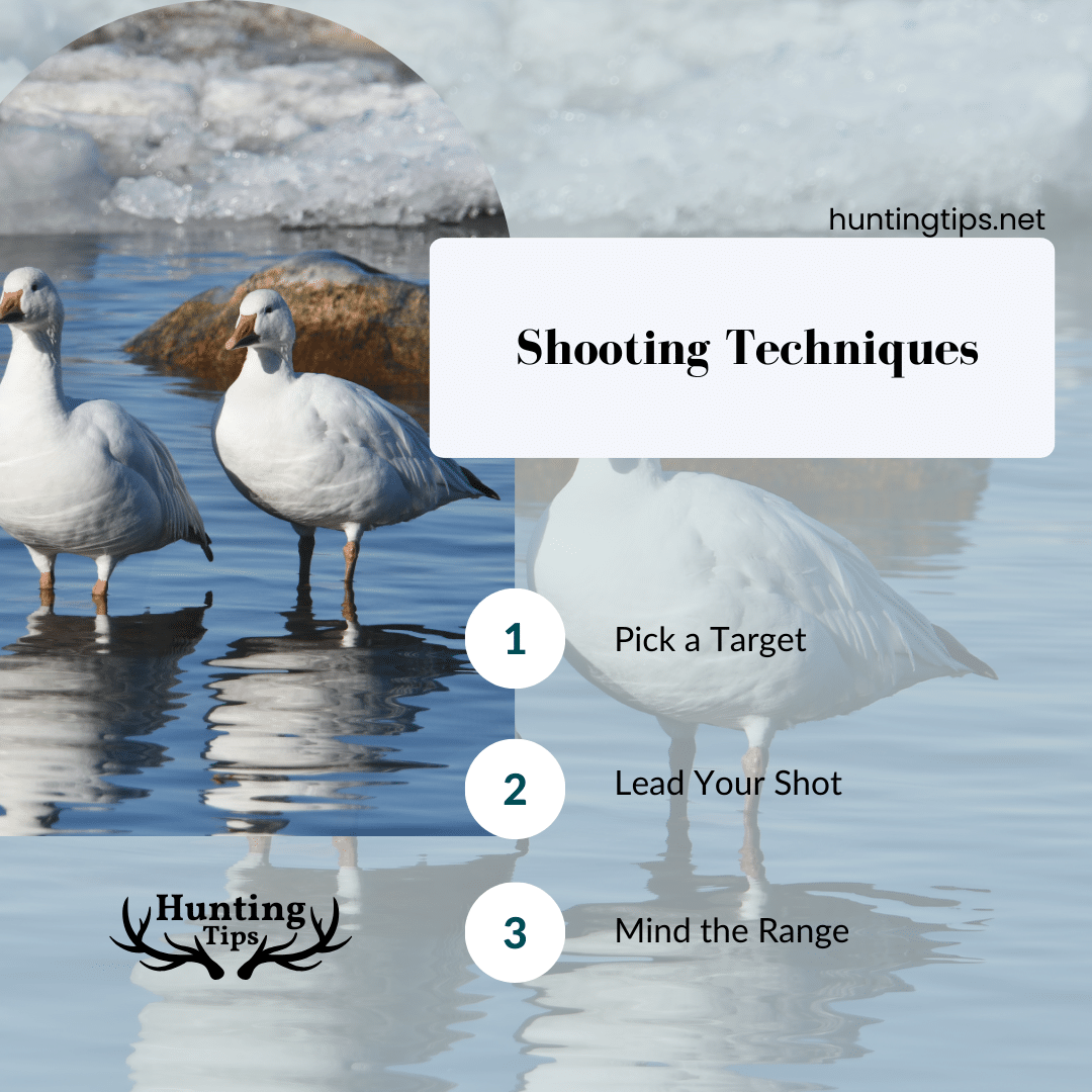 Shooting Techniques for geese hunting