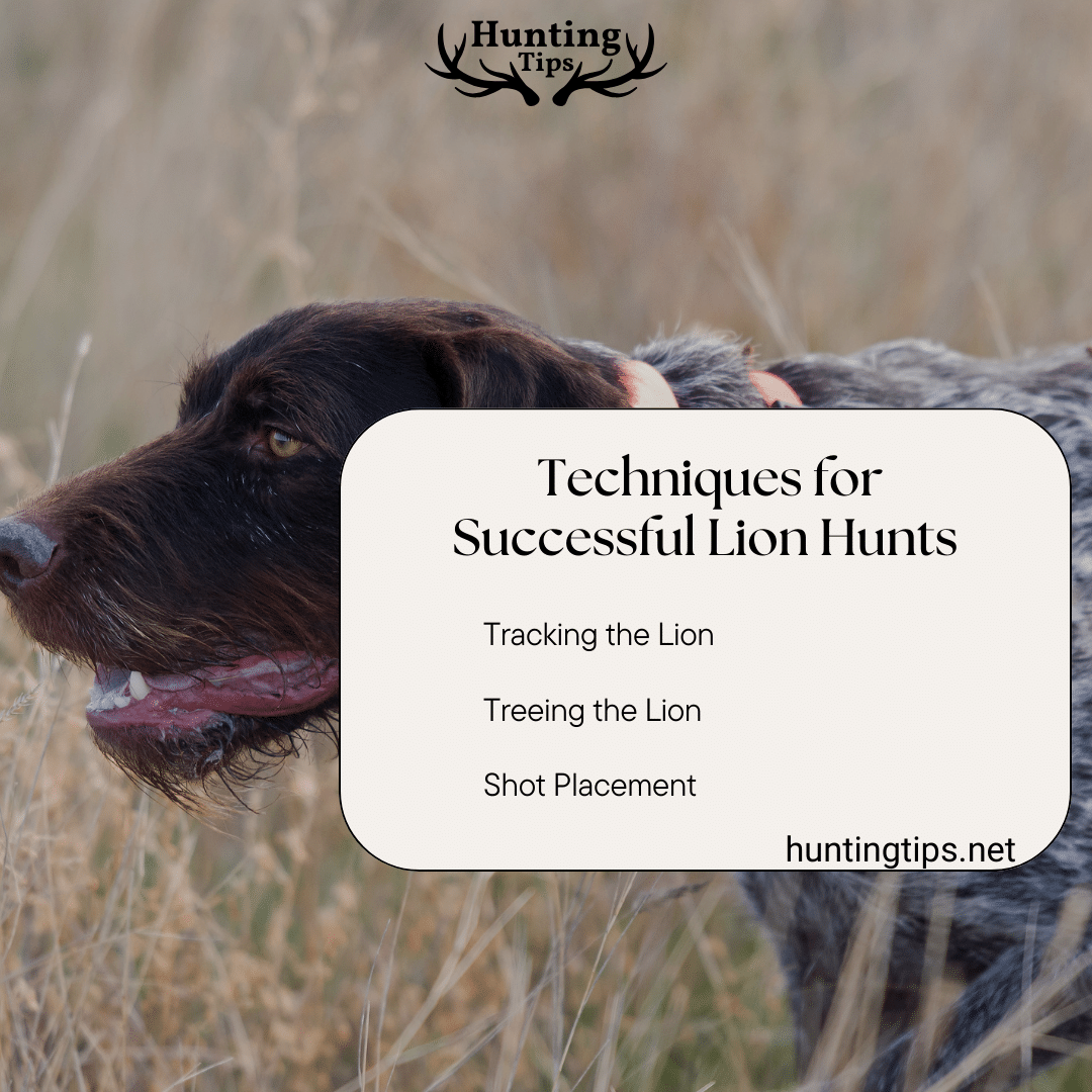 Techniques for Successful Lion Hunts