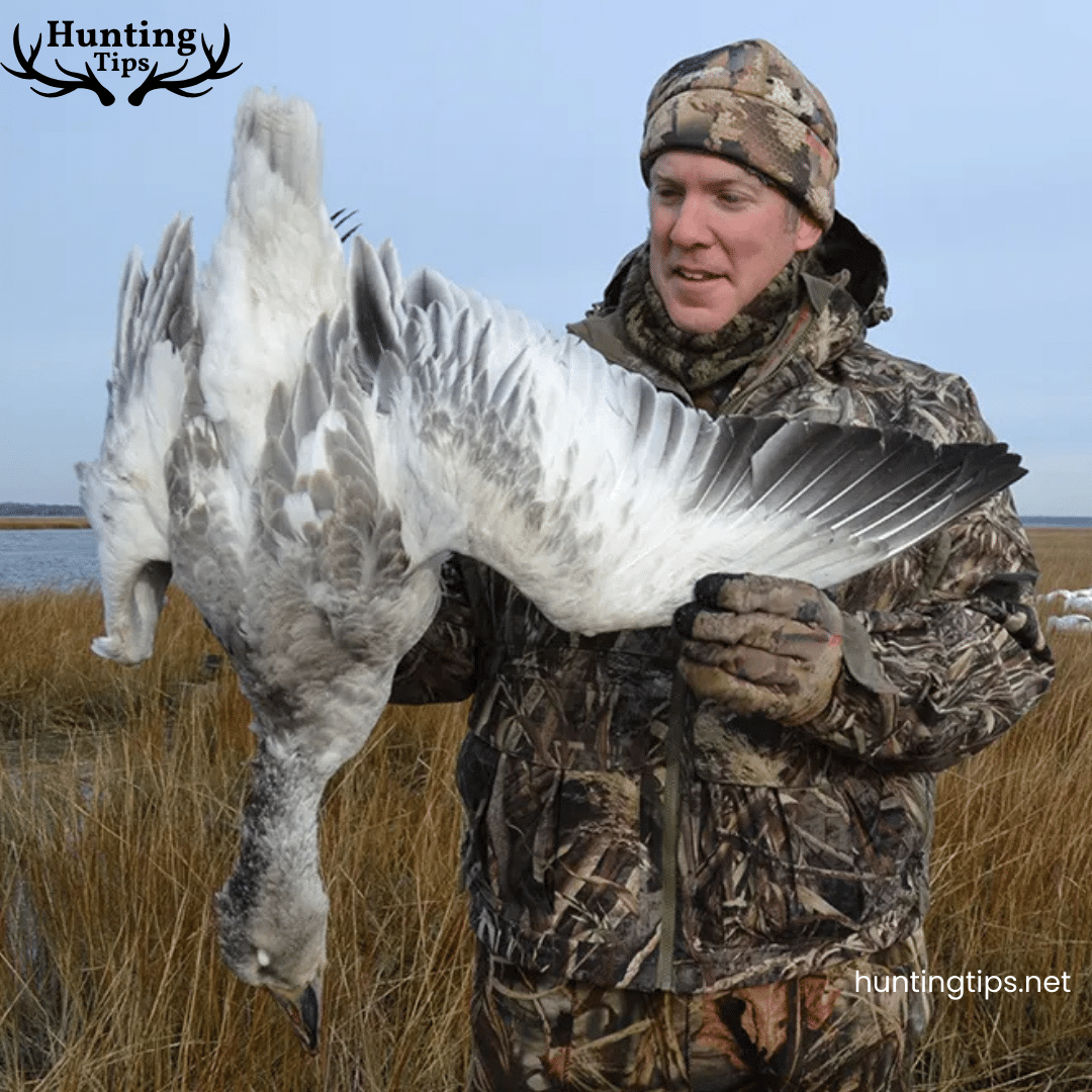 a hunter holding a snow geese