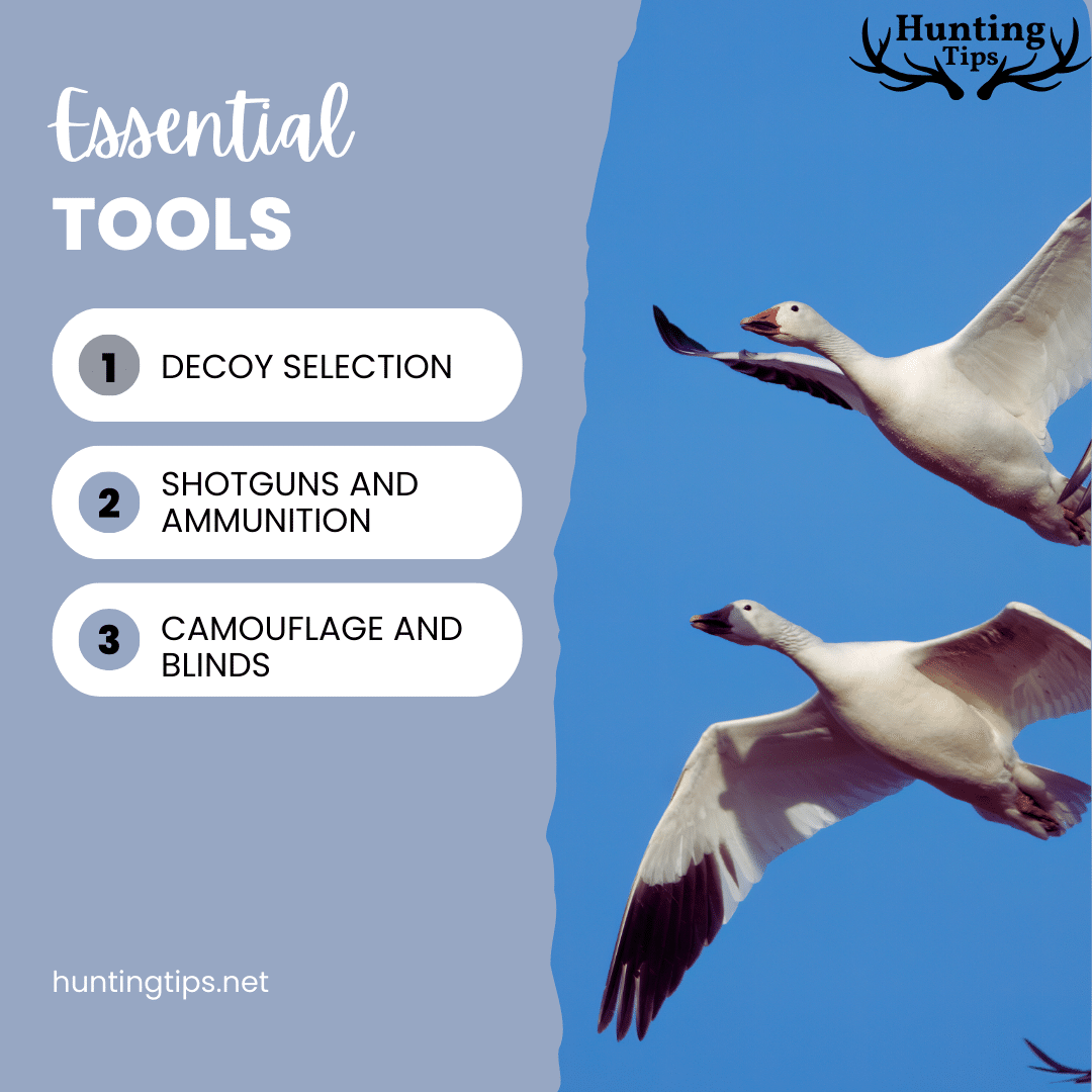 essential tools for geese hunting