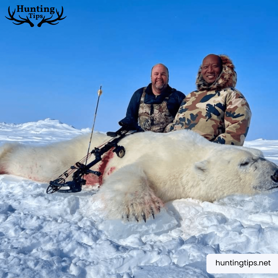 hunters along with hunted polar bear