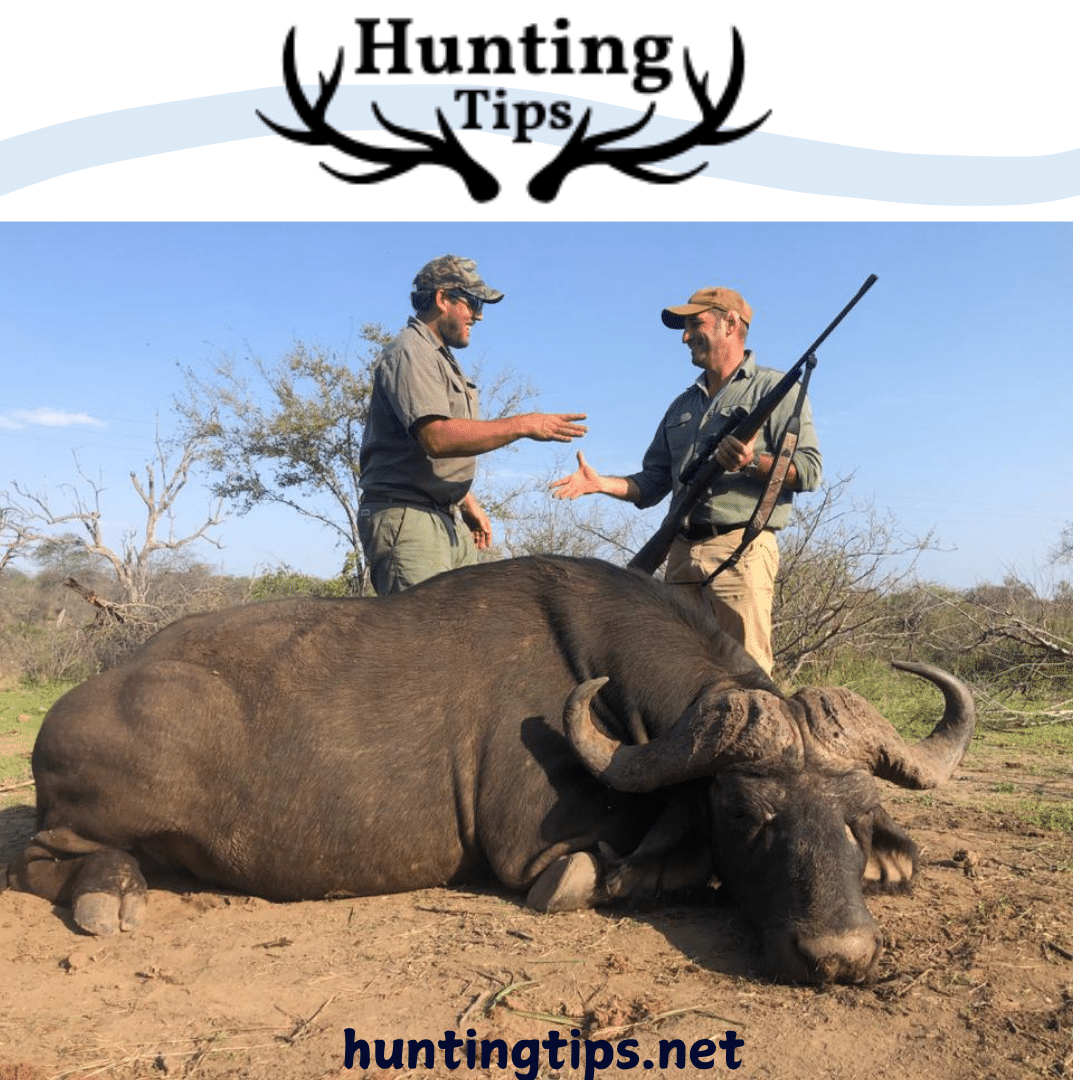 hunters happy shaking hands after successful buffalo hunt