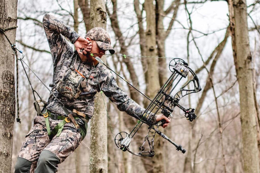 A view of a hunter with a bow on a tree