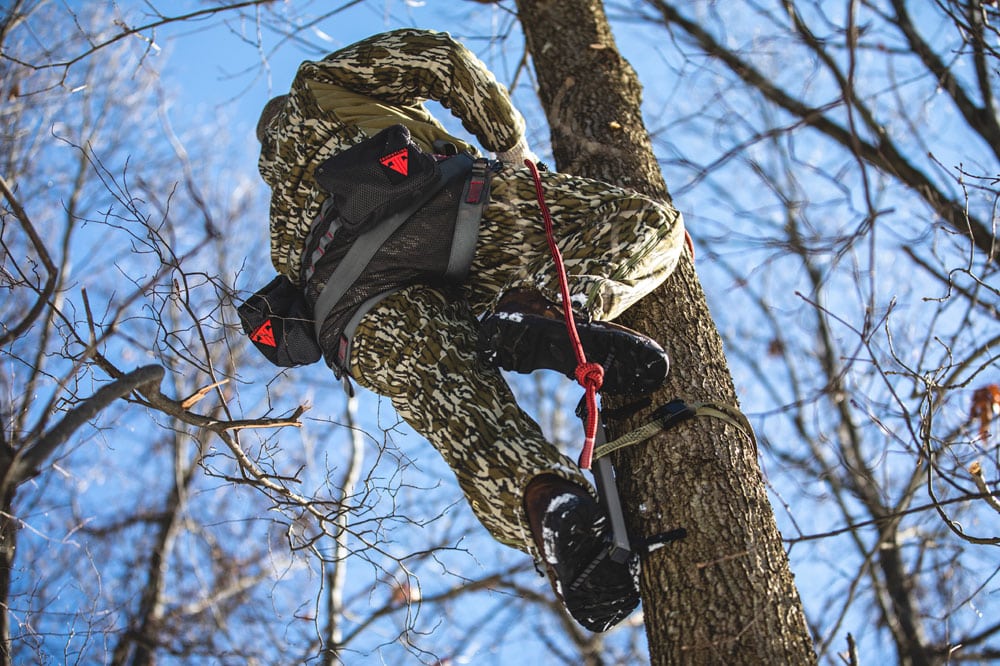 A view of a person climbing up a tree sand