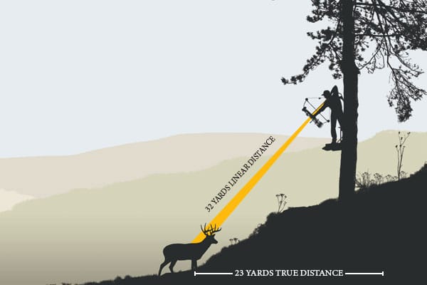 A visualization of a shot analysis from a tree stand