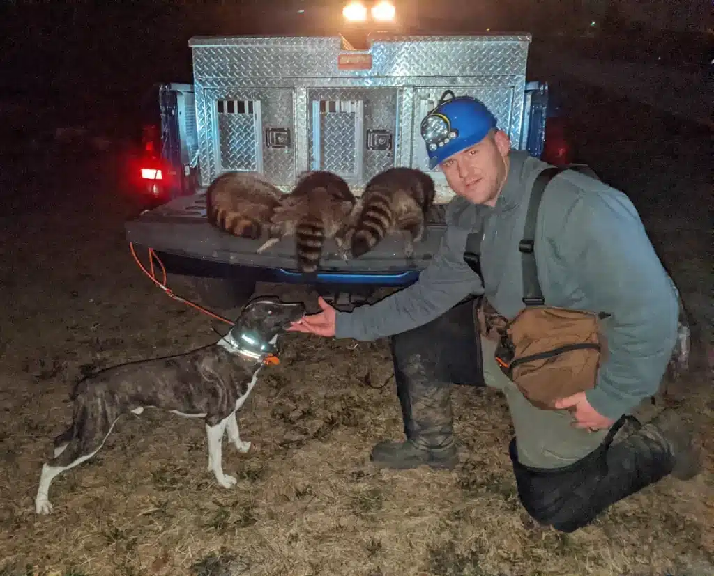 a person with a hunting dog coons lying on the vehicle