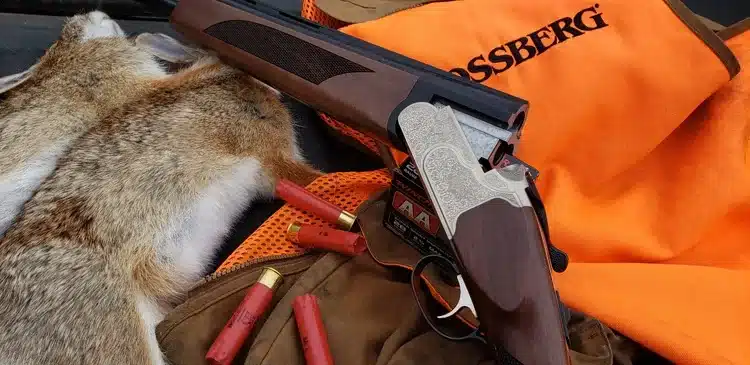 brown color hunted rabbit along with hunting gun