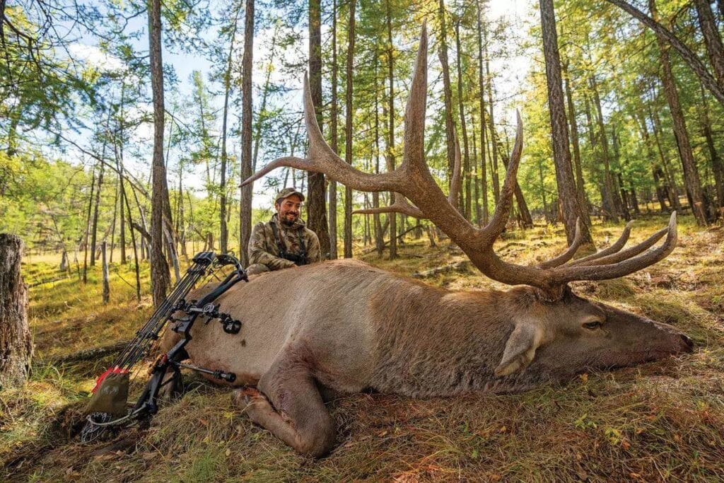 hunted elk and man with his weapon