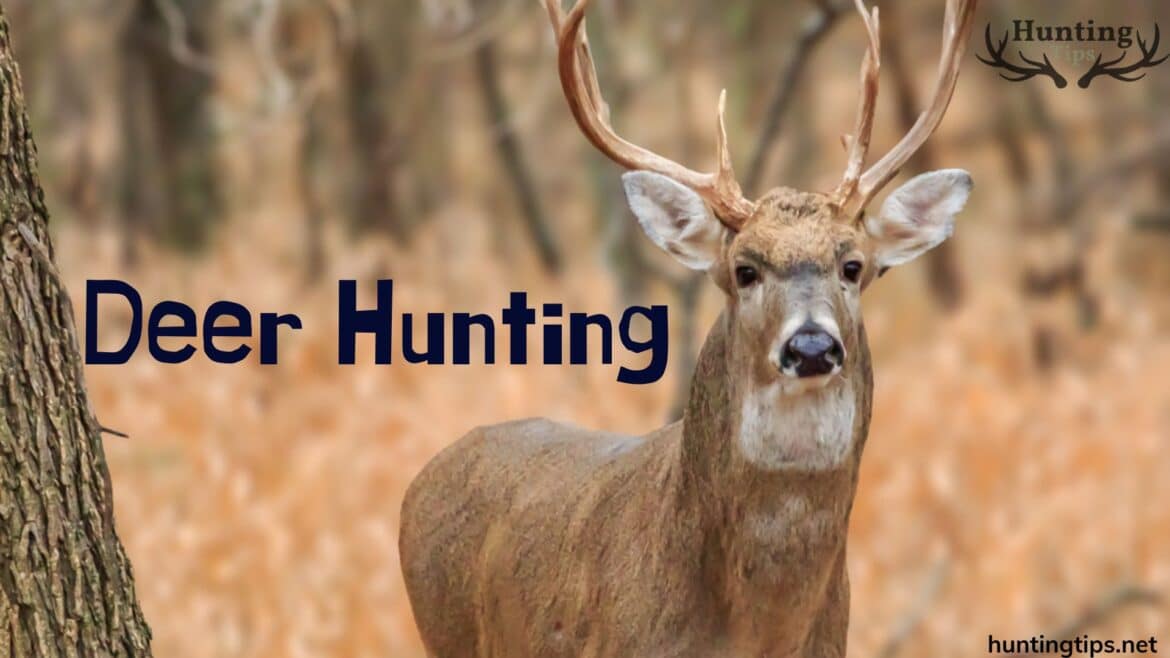 deer hunting