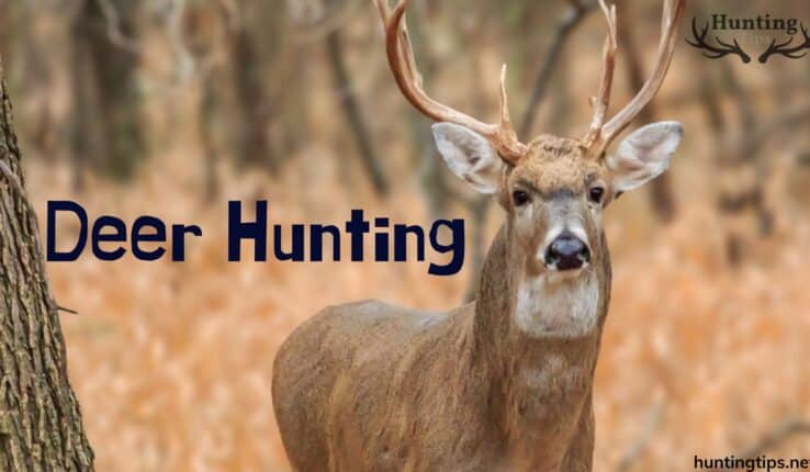 Deer Hunting with a Shotgun