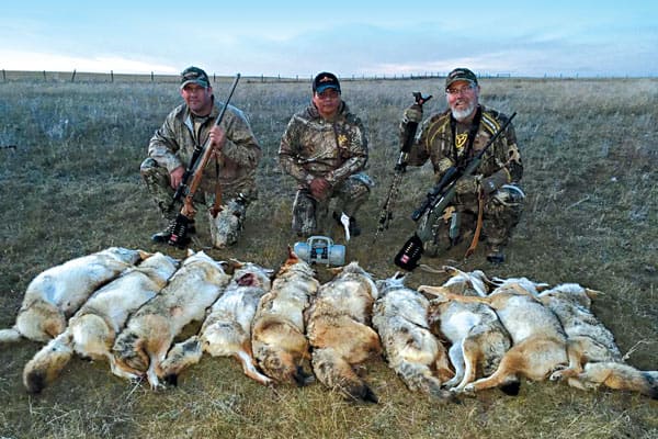 hunters with the gears along with the hunted coyotes