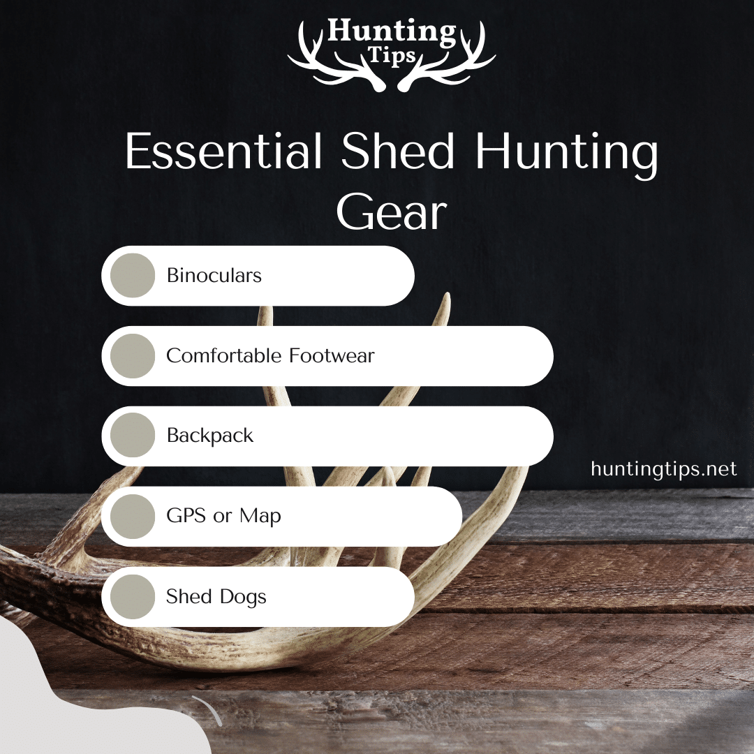 Essential Shed Hunting Gear