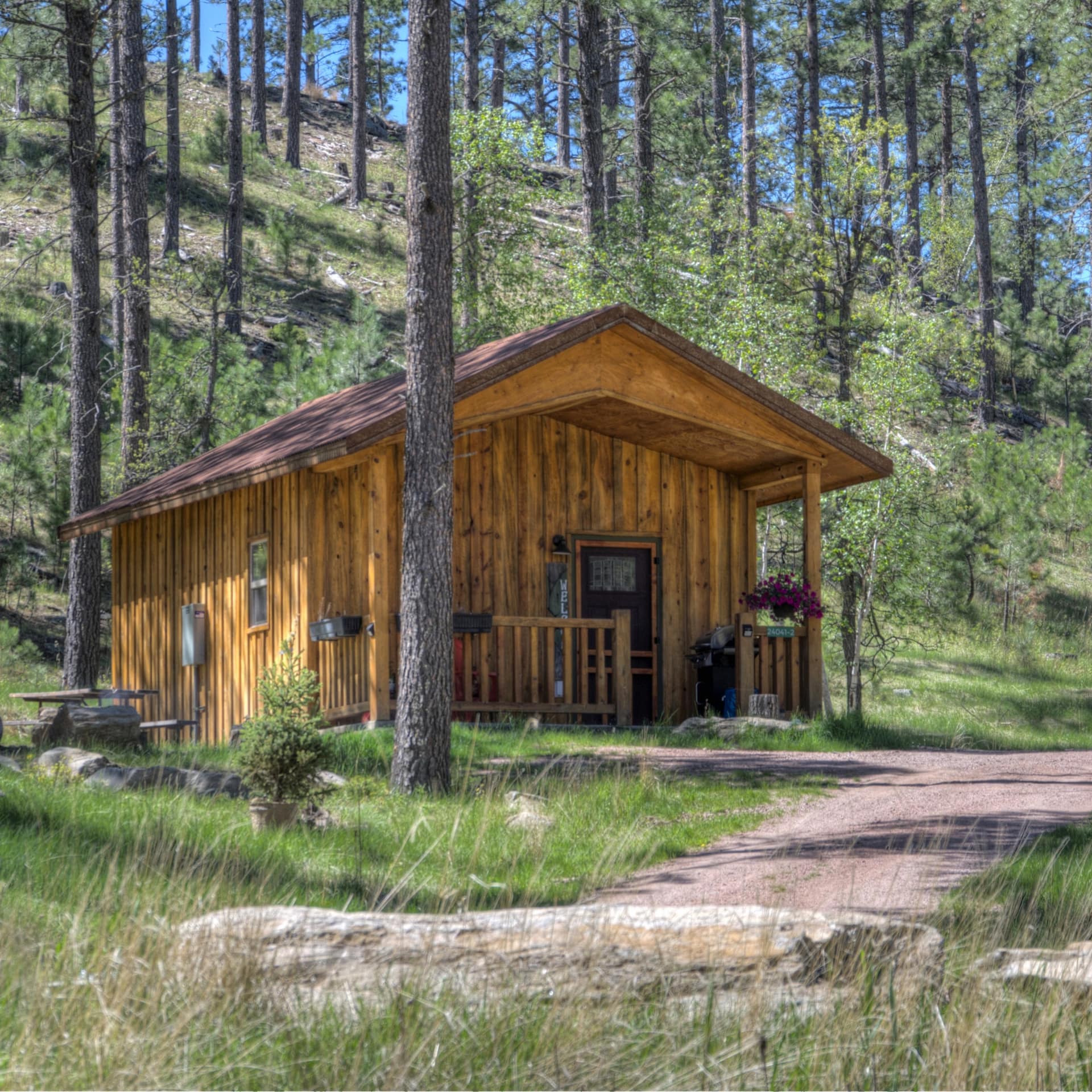 hunting cabin in jungle