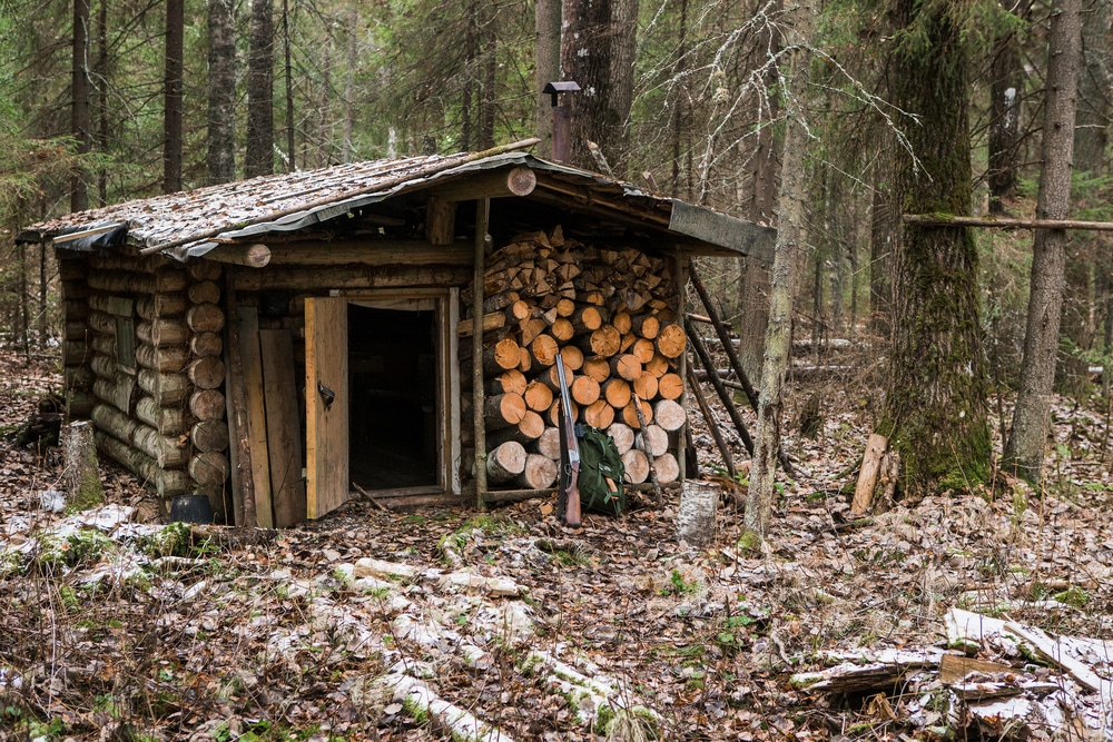 Hunting Lodge In The Forest