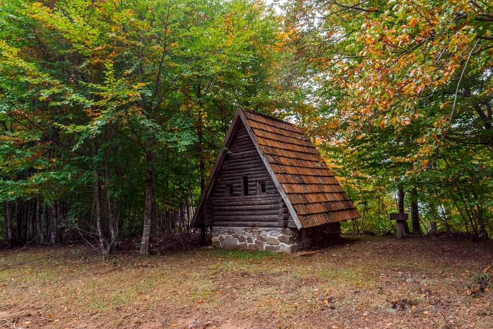 Hunting Lodge In The Forest