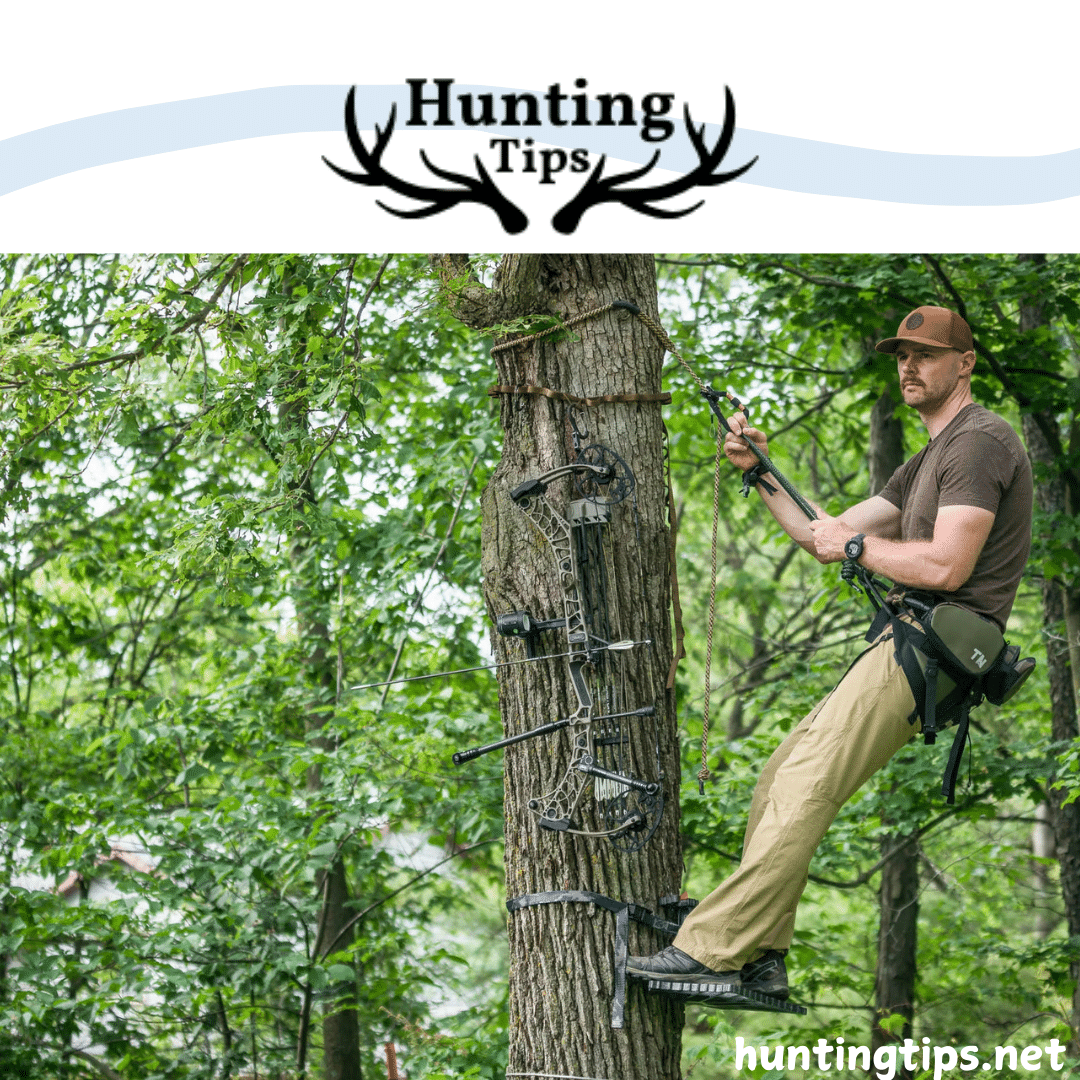 saddle hunter on a tree