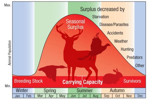 carrying capacity chart