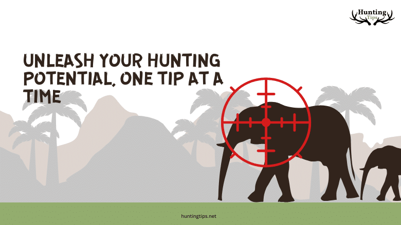 Features Images ( x px) Features Images ( x px)