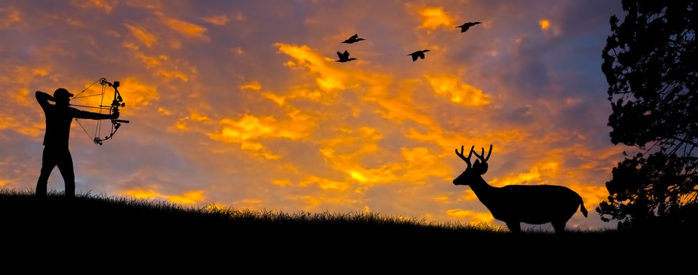 Silhouette Of A Bow Hunter Aiming At A White Tail