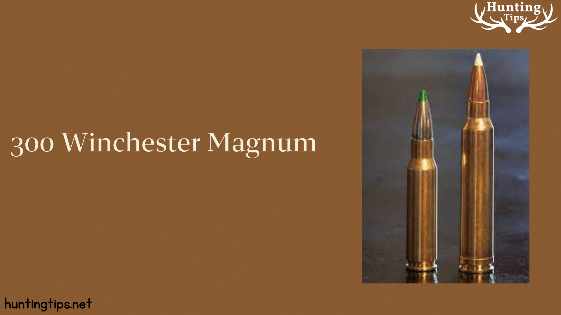 300 Winchester Magnum 