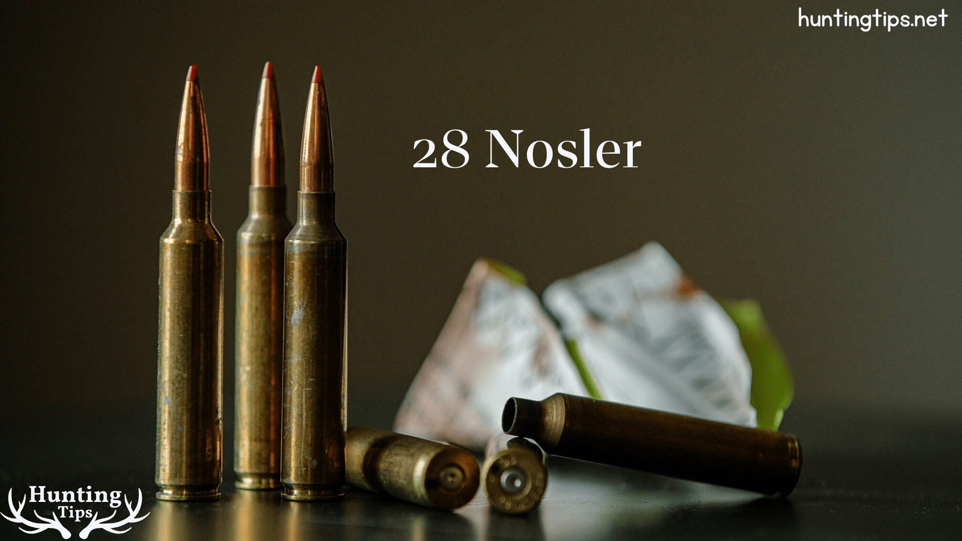 Nosler 