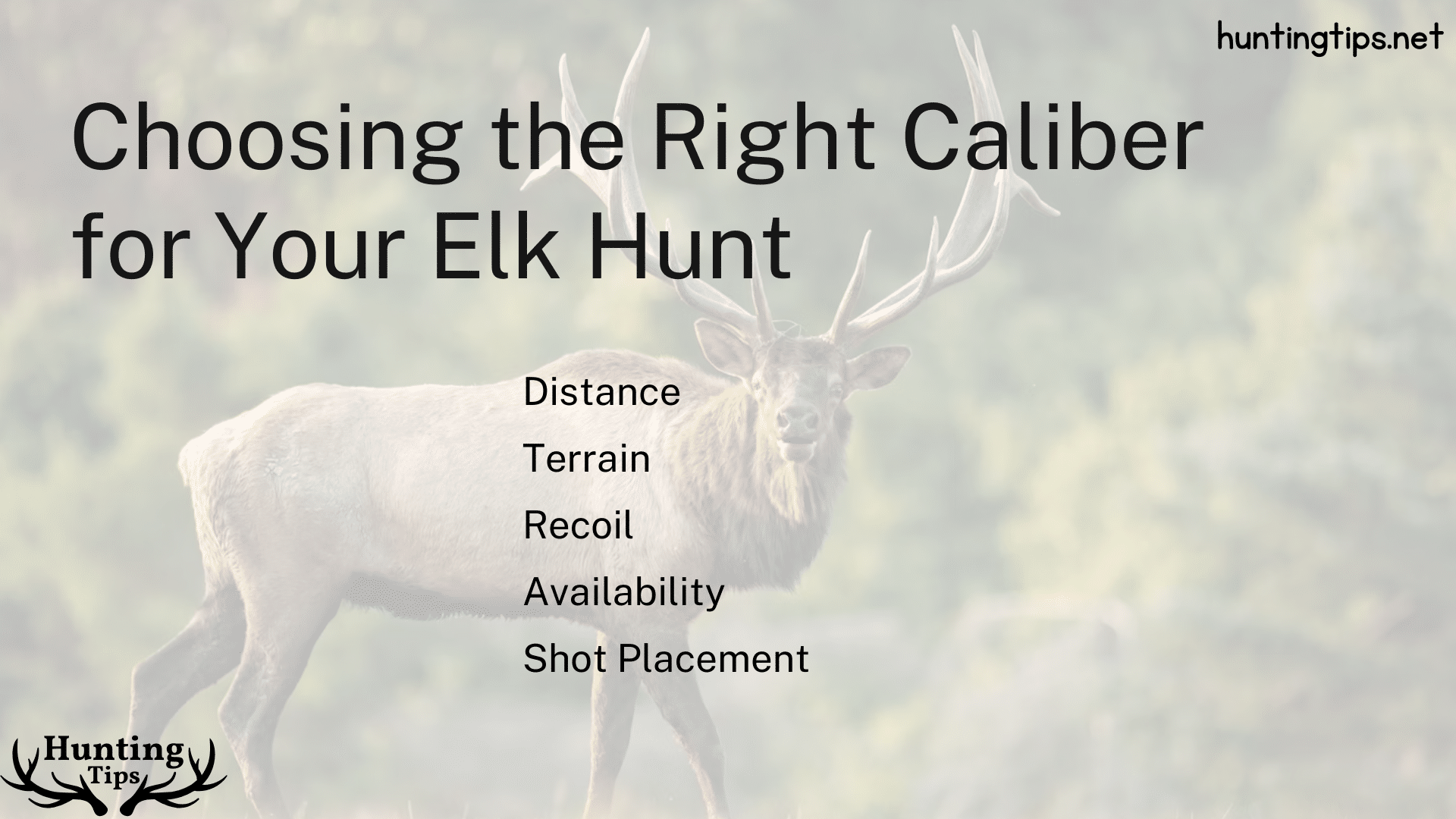 Choosing the Right Caliber for Your Elk Hunt 