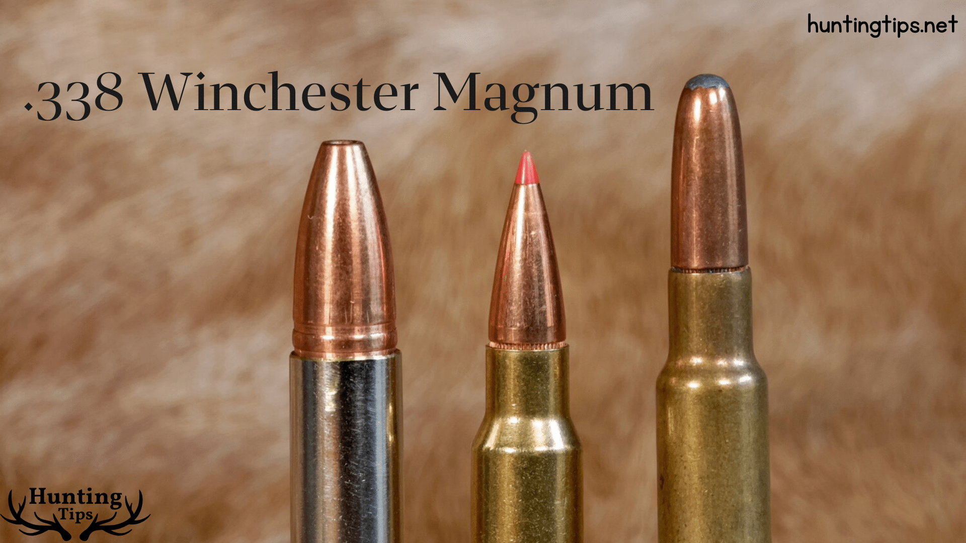 Winchester Magnum 