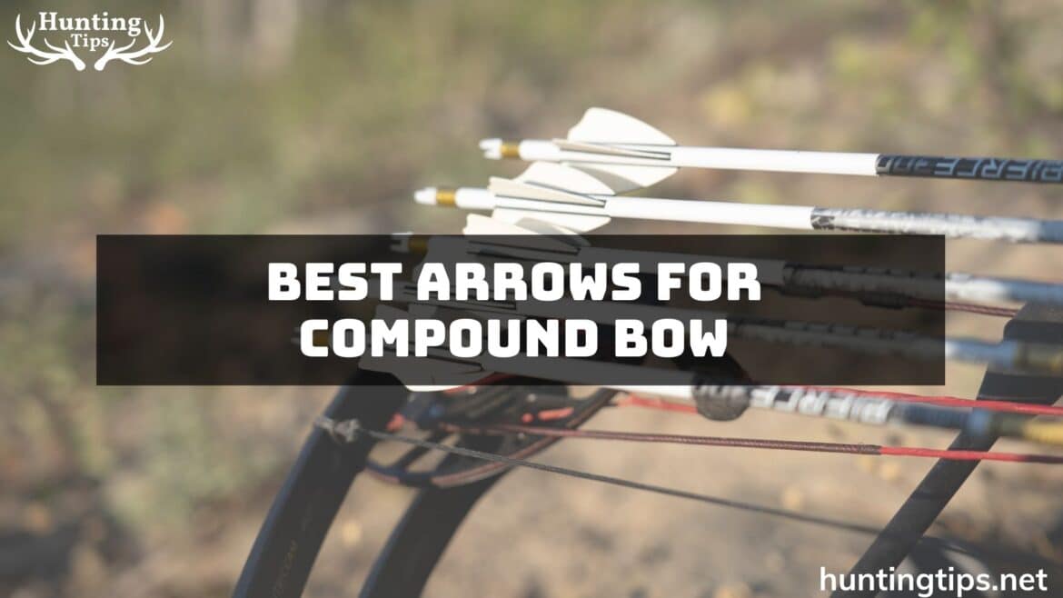 best arrows for compound bow best arrows for compound bow