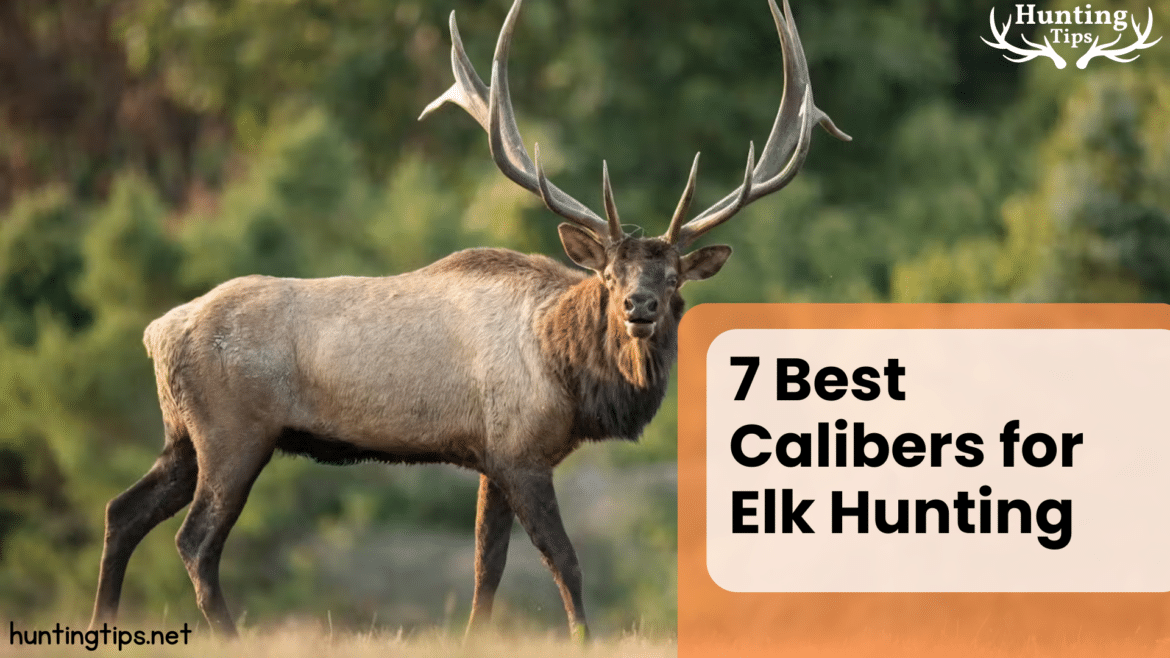 guide for best calibers for elk hunting guide for best calibers for elk hunting