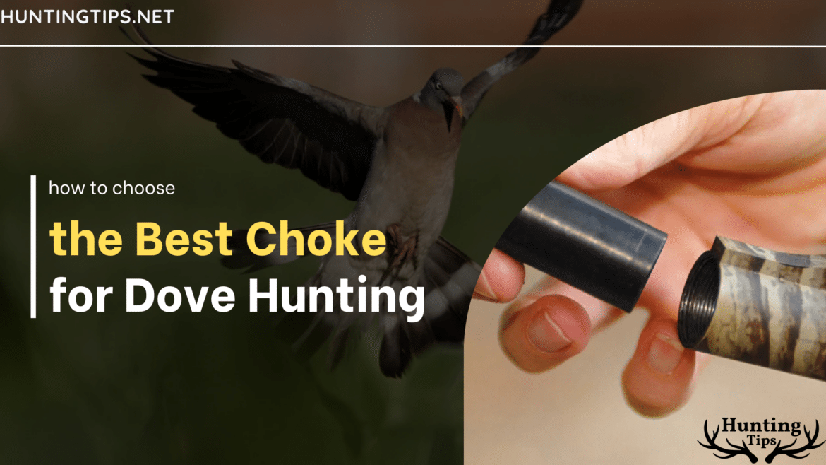 how to choose the best choke for dove hunting how to choose the best choke for dove hunting