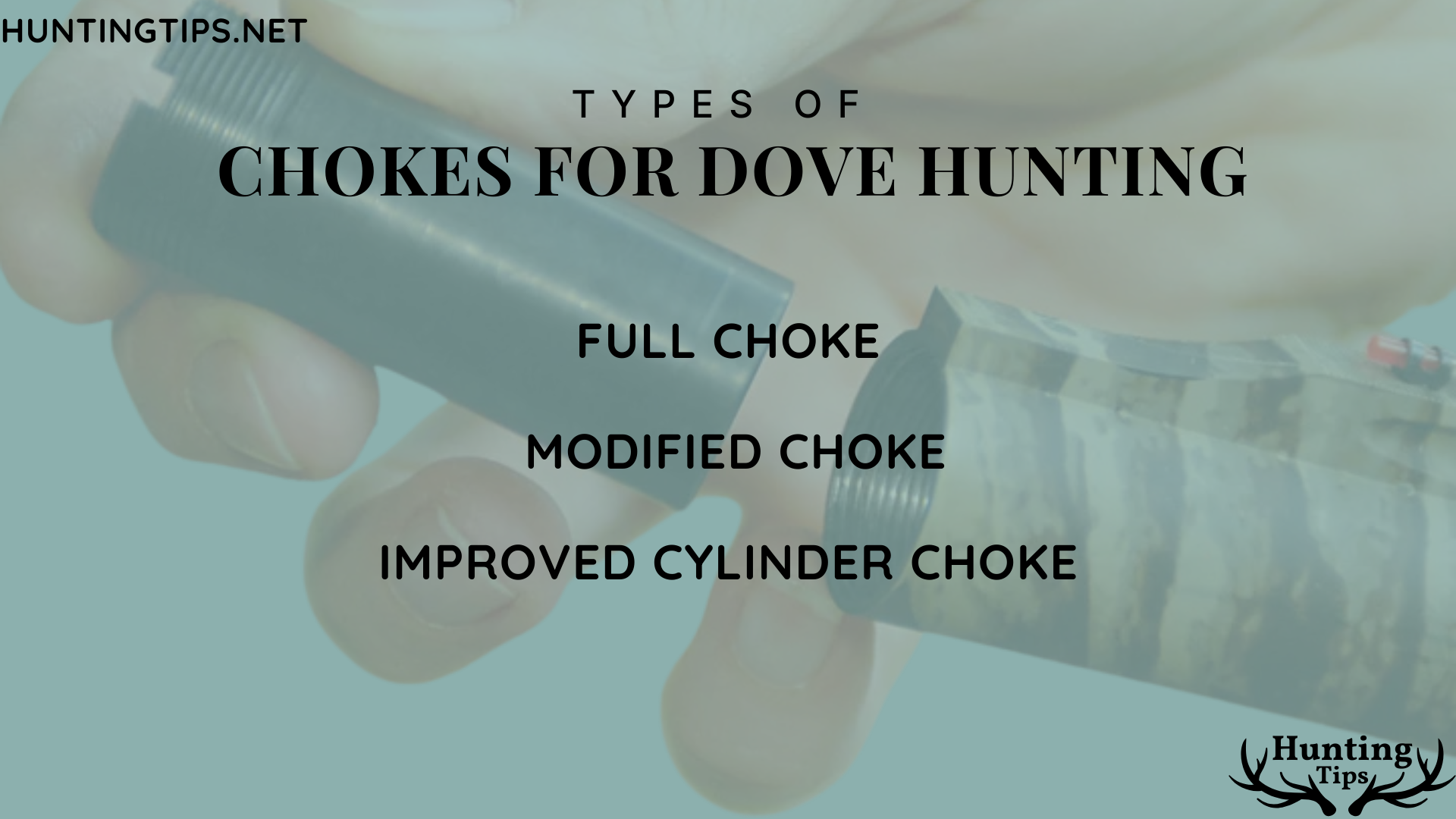 types of chokes for dove hunting